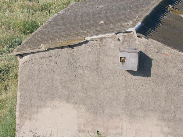 <h3>Tyto&nbsp;alba / Western&nbsp;barn&nbsp;owl / Kerkuil</h3><p>tja, in het huisje zit een Kerkuil.  Met de scope was het wel plausibel, met deze foto weet ik het niet.</p>OM-1 Mark II met OLYMPUS M.150-400mm F4.5 TC, 1/2000 sec  bij F5.6, ISO 640